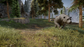 Large Bear Hinterlands