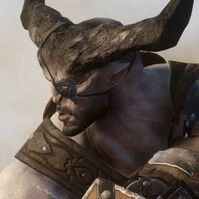 Ironbull profile