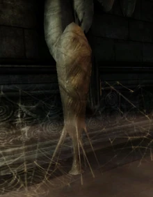 Object-Cocoon.png (200 KB) Cocoons are used by Giant spiders to web their victims in.