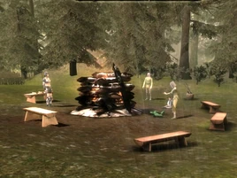 Лагерь долийцев