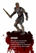 Official description of Zevran from Dragon Age: Origins