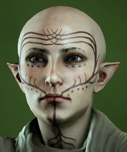 Junes Vallaslin in Inquisition