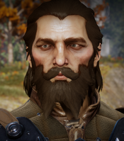 Blackwall: A human warrior and Grey Warden.