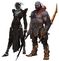 Qunari female and male