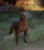 Бетяр (Inquisition)