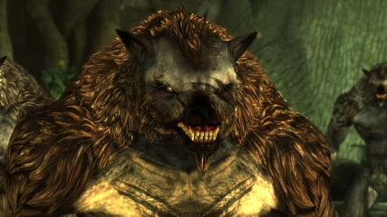 950918 20090209 screen010.jpg (295 KB) Swiftrunner Closeup