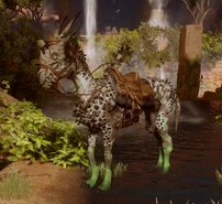 Primal-Trained Longma