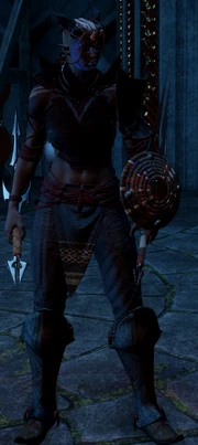 Ben-Hassrath Assassin.png (507 KB) A Ben-Hassrath 'Assassin'