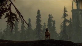 In Search of Morrigan