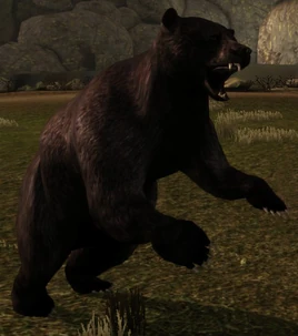 Black bear creature