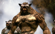 Swiftrunner Brecilian Forest