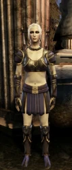 Female version of the armor