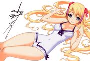 Sieglinde swimsuit