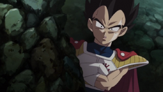 Vegeta Watching His Father and Beerus