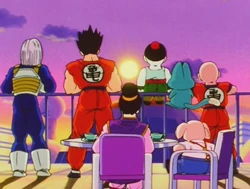 What Is The Tournament Dragon Ball Wiki Fandom