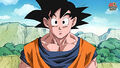 Goku in his base form