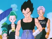 La famiglia di Bulma.