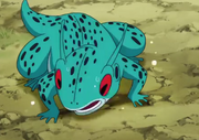 Frog Tagoma