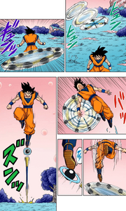 Goku Gokui