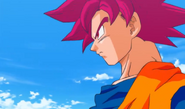 Goku Super Saiyajin Dios (3)