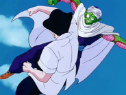 Shen vs Piccolo