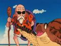 Roshi and Turtle