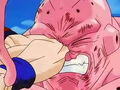 Dbz249(for dbzf.ten.lt) 20120505-11562058