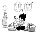 Vegeta doing domestic house work.