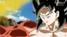Vegito Xeno SSJ4 26.jpg (92 KB)