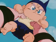 Baby Trunks