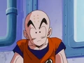 Krillin