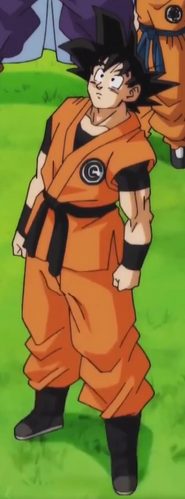 Goku | Dragon Ball Wiki | Fandom Goku | Dragon Ball Wiki | Fandom