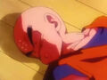 Krillin in Goku's dream