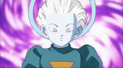 Image Trissnew Png Great Multiverse Wiki Fandom Powered - Dragon Ball Super  Grand Priest Png, Transparent Png - 576x1077(#6857394) - PngFind