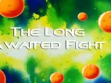 The Long Awaited Fight