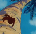 A crustacean on Roshi's island