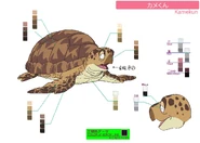 Kamekun Ova.jpg (129 kB)