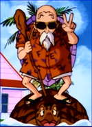 Master Roshi On Turtle