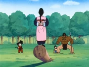 Mercenary Tao arrives to kill Goku.