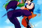 Goku and Piccolo training for the Androids