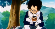 VegetaOnEarth