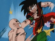 Goku vs