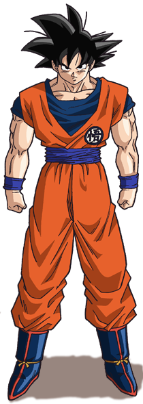 Son Goku Turtle Gi (+)