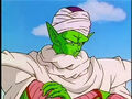 Piccolo