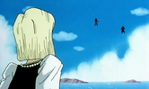 N°18 agacée.png