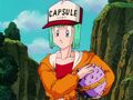 Bulma