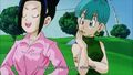 Chi-Chi suggesting to Bulma about trading mates with Goku and Vegeta