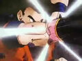 Dbz248(for dbzf.ten.lt) 20120503-18322452