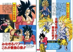 Dragon Ball GT: Perfect File, Dragon Ball Wiki