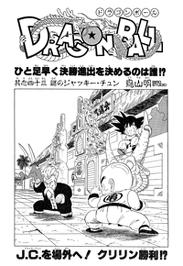 ジャッキーチュン The Mysterious Jackie Chun | Dragon Ball Wiki | Fandom